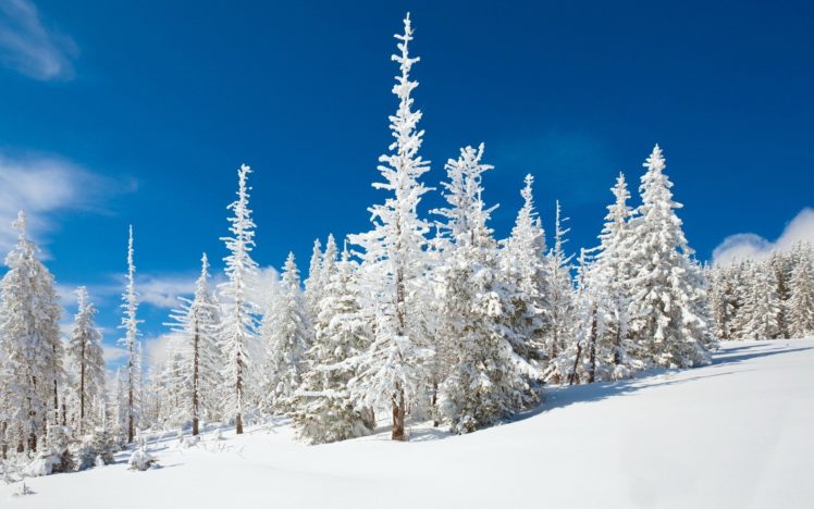 blue, Clouds, Winter, Snow, Evergreen, Skyscapes HD Wallpaper Desktop Background