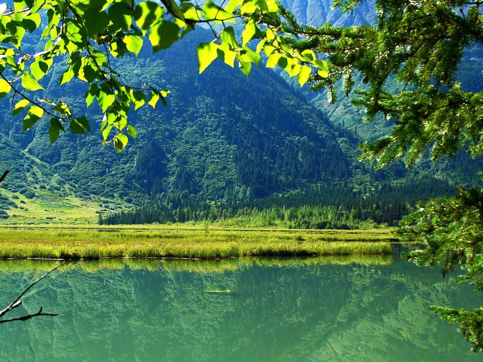 ponds, Lakes Wallpaper