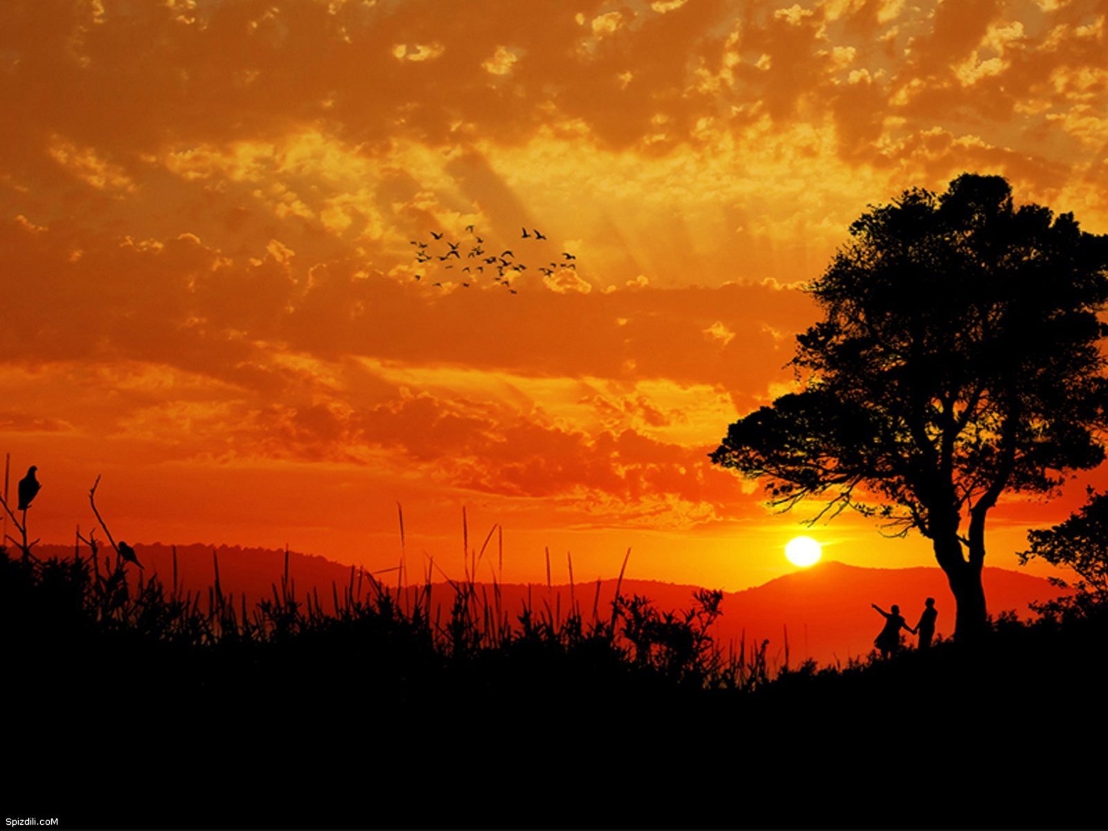 nature Wallpaper
