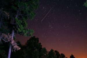 nature, Trees, Stars, Meteorite, Nights