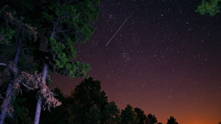 nature, Trees, Stars, Meteorite, Nights HD Wallpaper Desktop Background