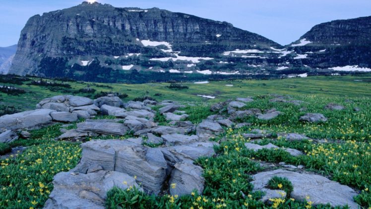 mountains, Flowers, Rocks, Glacier, Logan, National, Park HD Wallpaper Desktop Background
