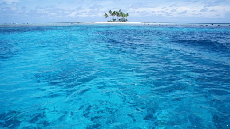 water, Islands, Palm, Trees HD Wallpaper Desktop Background