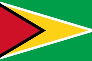 2000px flag, Of, Guyana, Svg