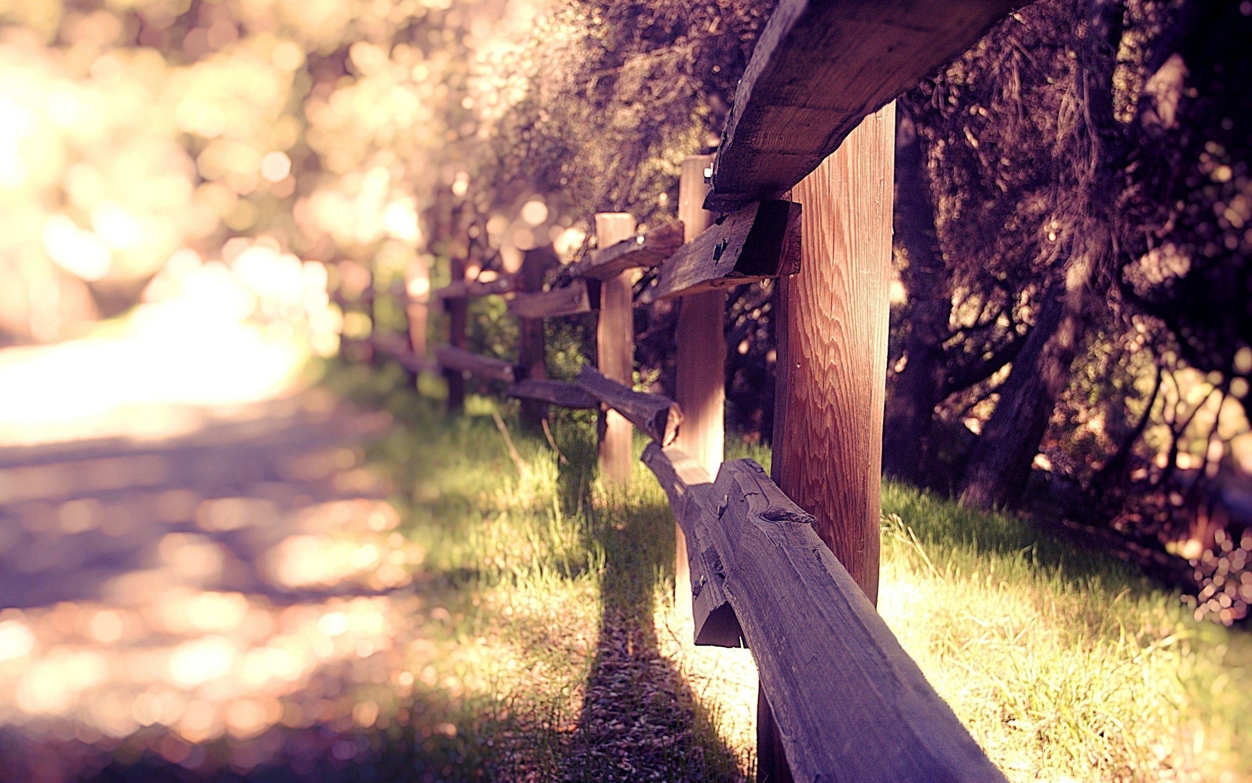 landscapes, Fences, Grass, Bokeh, Sunlight Wallpaper