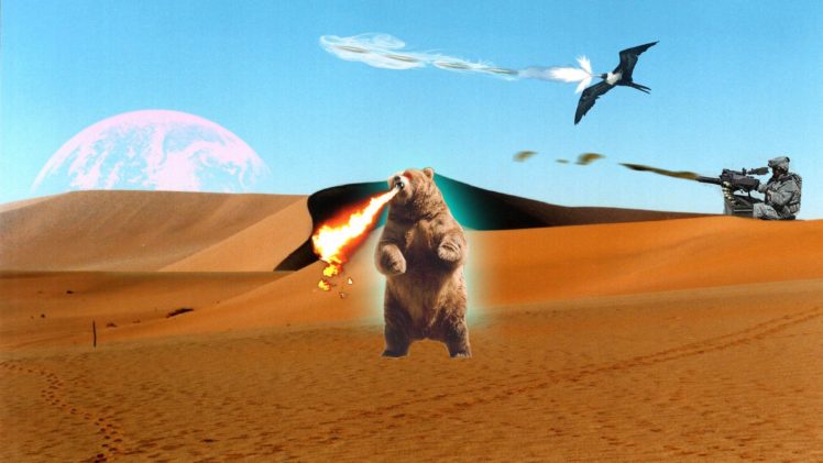 fire, Eagles, Bears, Bored, Poop HD Wallpaper Desktop Background