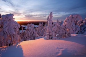 landscapes, Nature, Winter, Snow, Trees, Evergreens