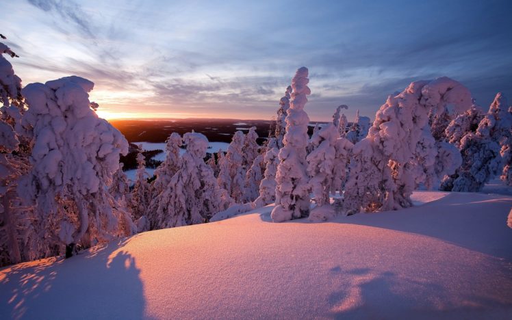 landscapes, Nature, Winter, Snow, Trees, Evergreens HD Wallpaper Desktop Background