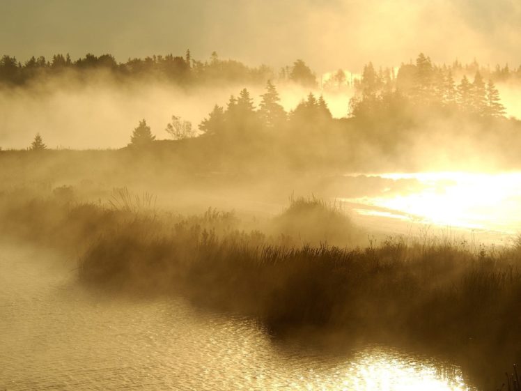 landscapes, Sunrise, Fog, Mist, Sunlight, Reflection, Trees, Islands HD Wallpaper Desktop Background