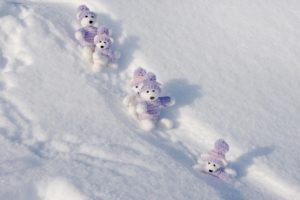 snow, Teddy, Bears