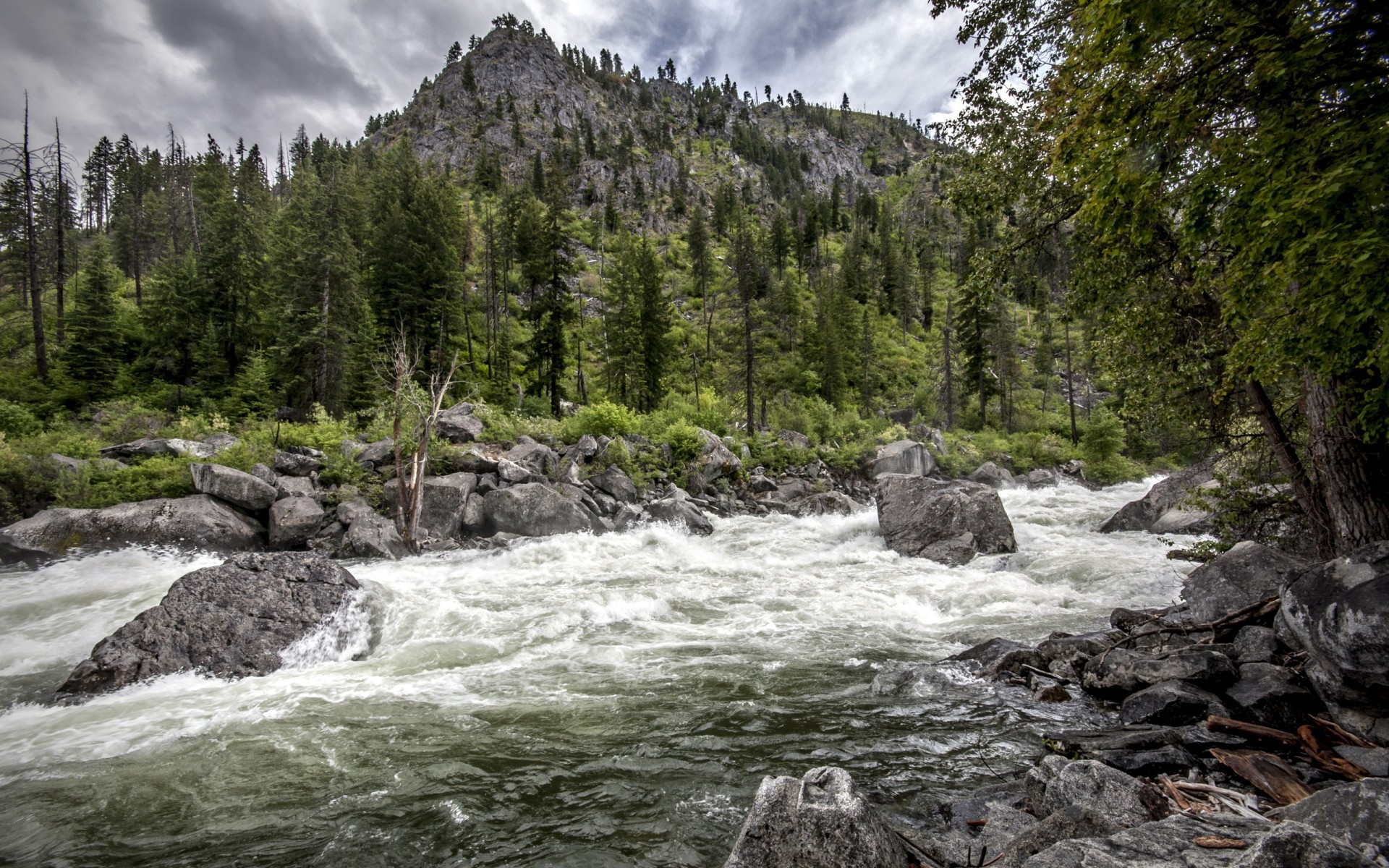 hdr, Landscapes, Mountains, Trees, Forest, Rapids Wallpaper