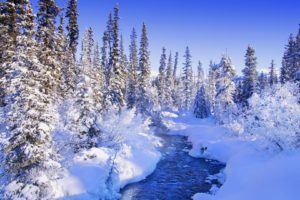 trees, Forests, Torrent, Snow, Landscapes