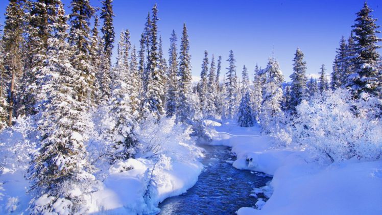 trees, Forests, Torrent, Snow, Landscapes HD Wallpaper Desktop Background