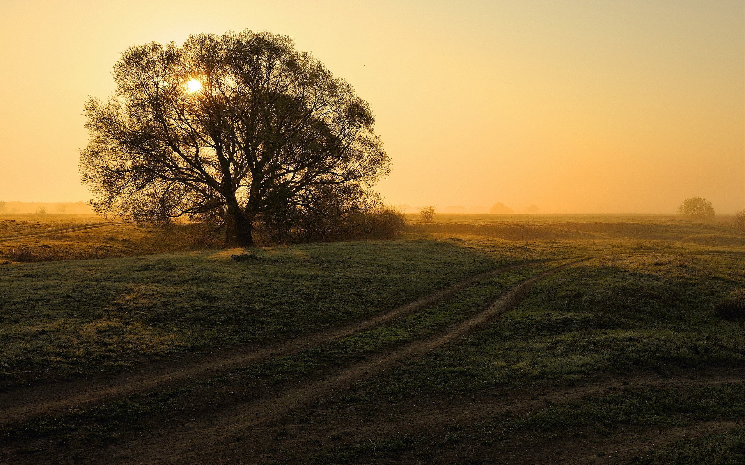 landscapes Wallpaper