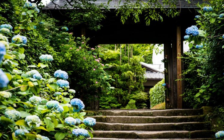 nature, Trees, Architecture, Garden, Stairways, Blue, Flowers, Hydrangeas HD Wallpaper Desktop Background