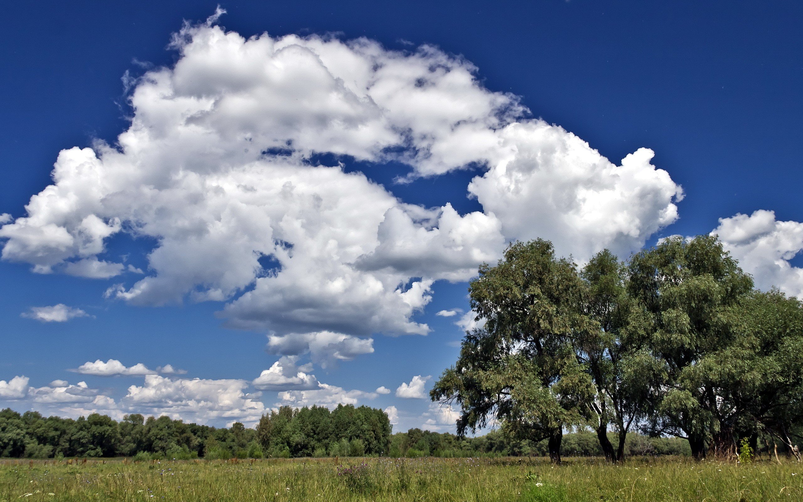 landscapes, Nature Wallpaper