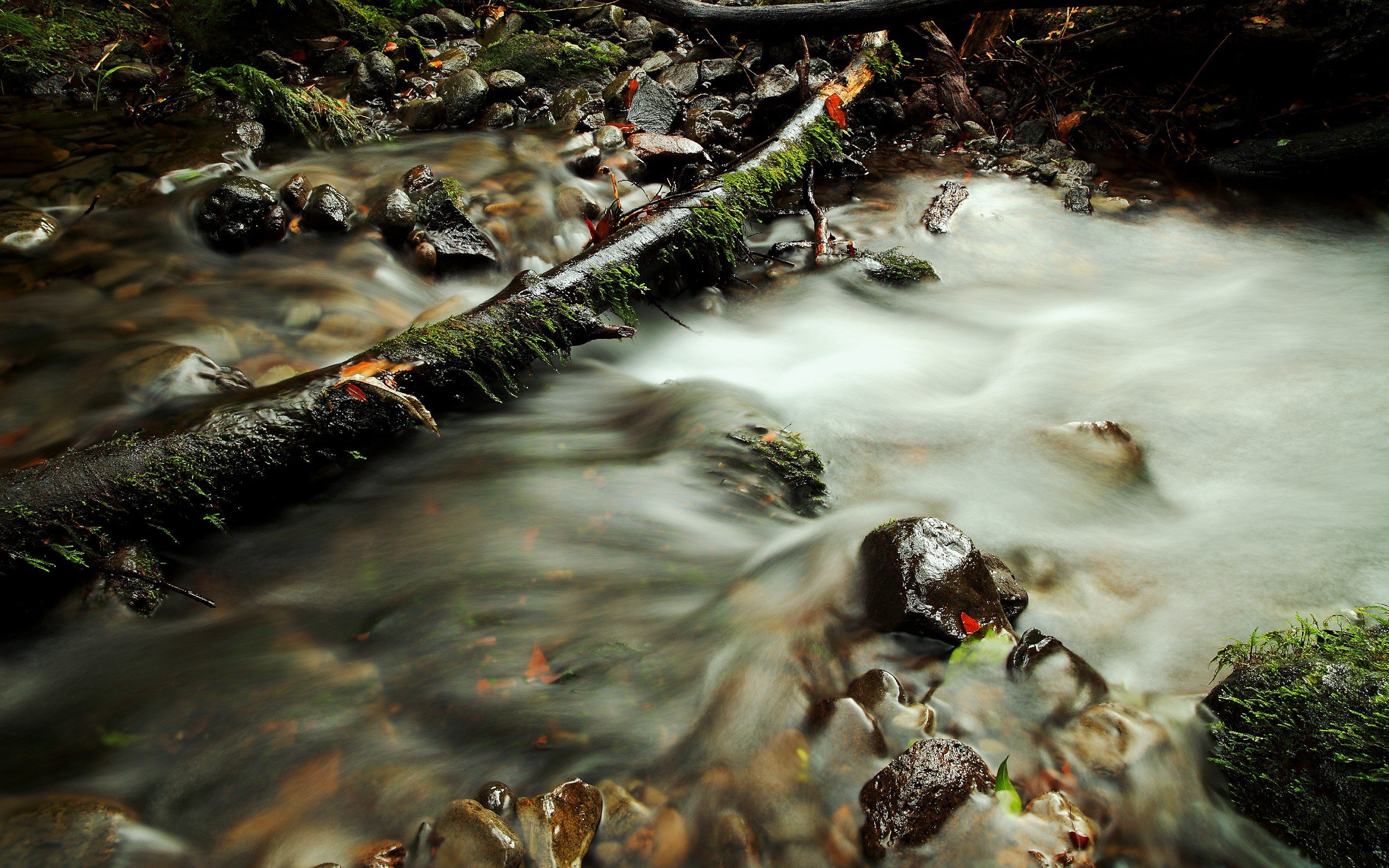 autumn, Streams Wallpaper