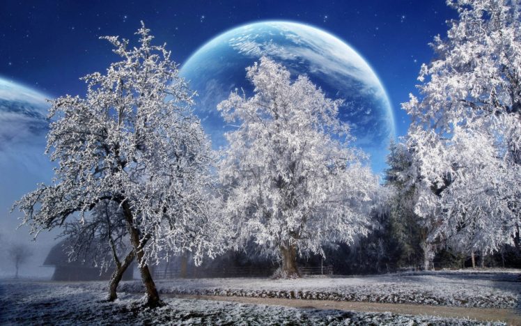 trees, Hoarfrost, Planet, Earth, Sky, Stars, Park, Sci, Fi, Planets, Winter HD Wallpaper Desktop Background