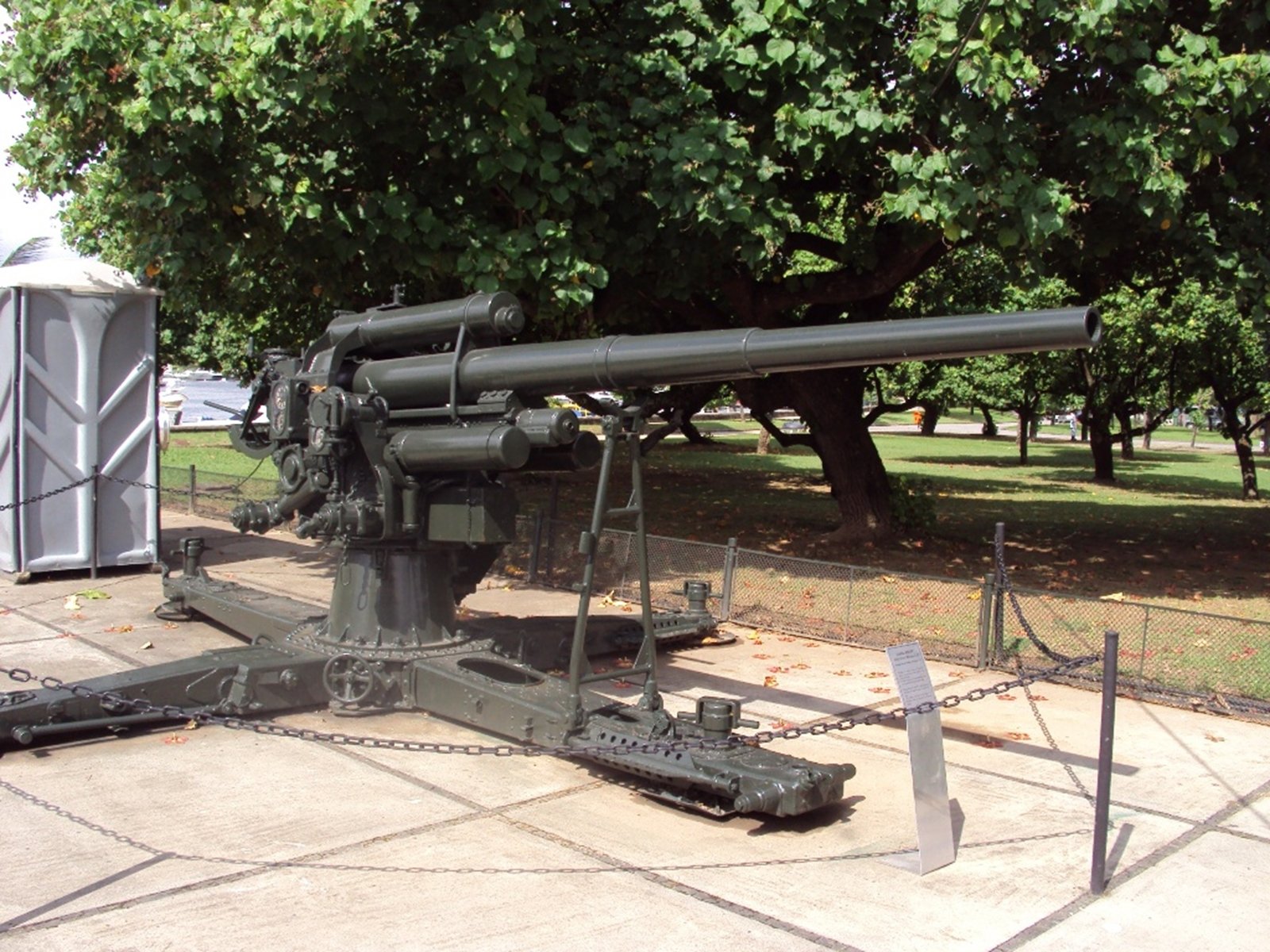 dia da vita Wallpaper