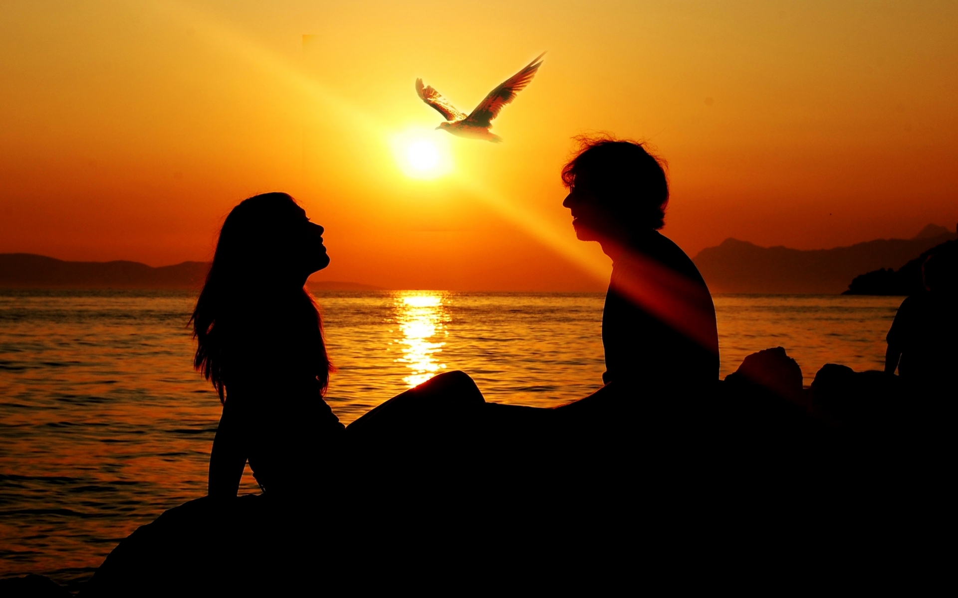 love, Romance, Mood, Men, Women, Sunset, Birds Wallpaper