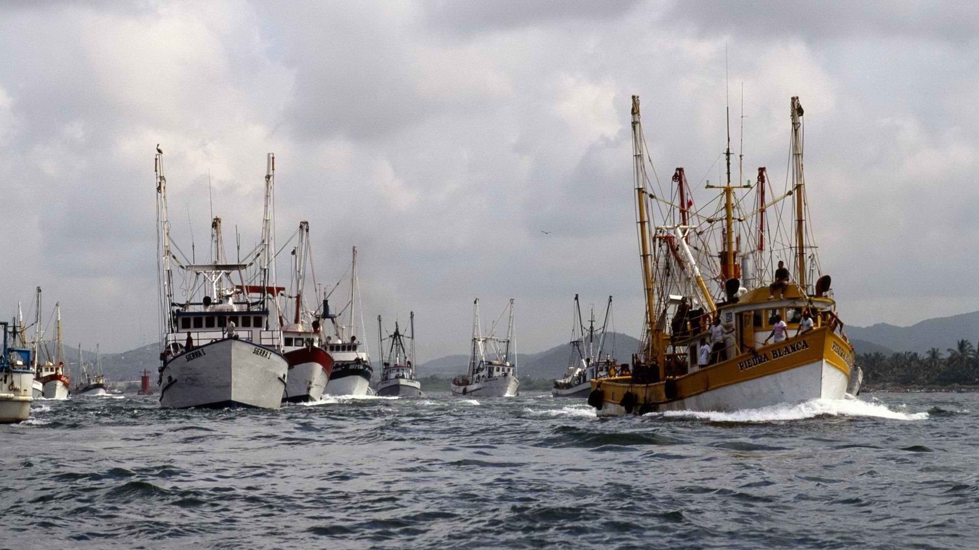 mexico, Fishing, Port Wallpaper