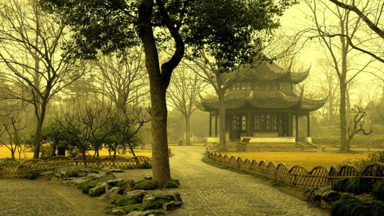 trees, Chinese, Sentinel HD Wallpaper Desktop Background