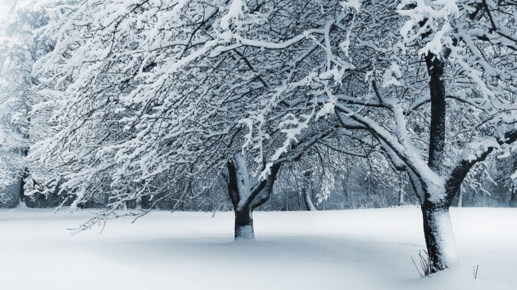 snow, Fallen, Ohio, Cleveland HD Wallpaper Desktop Background