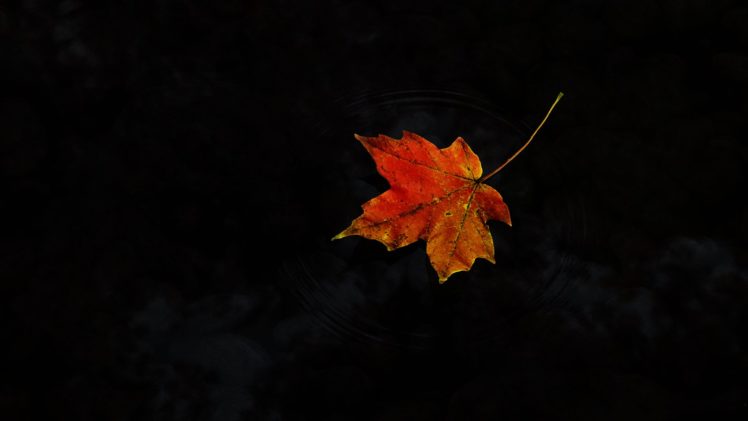 autumn HD Wallpaper Desktop Background