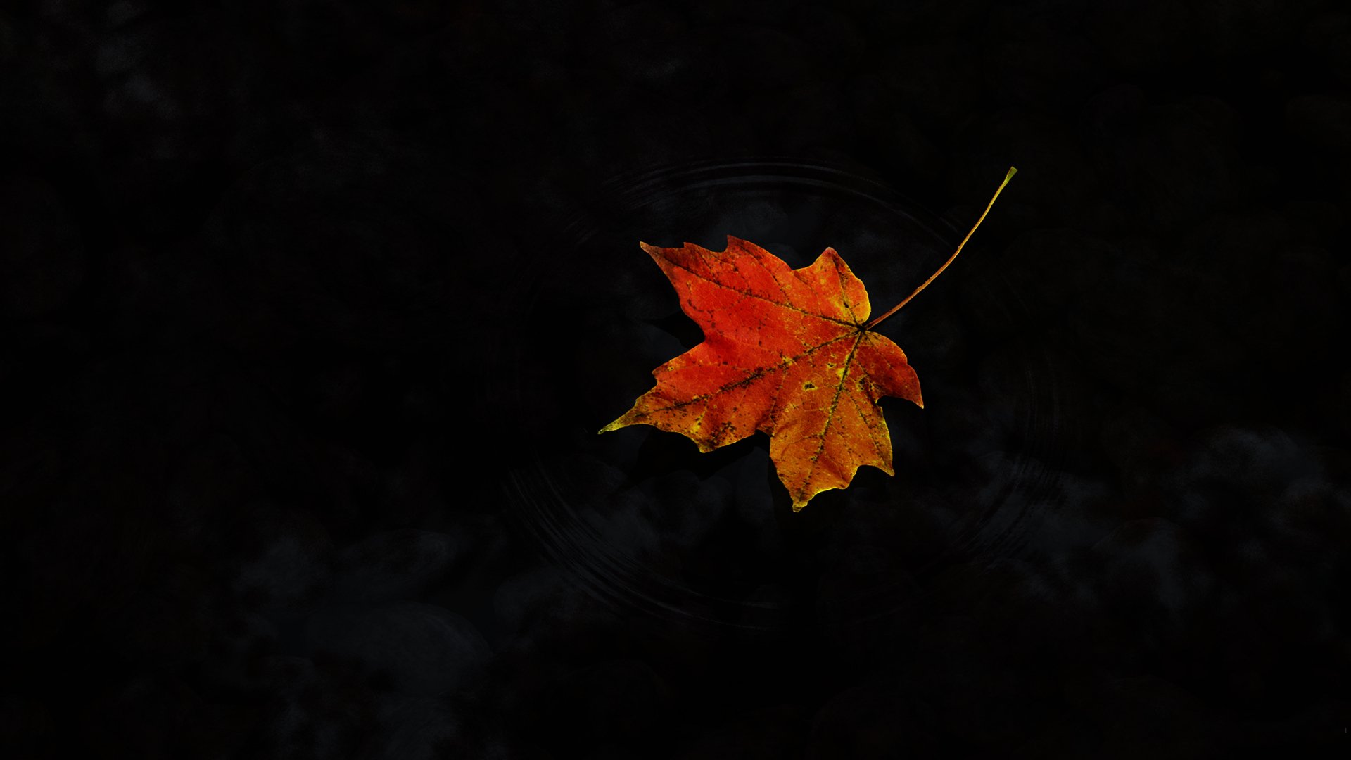 autumn Wallpaper