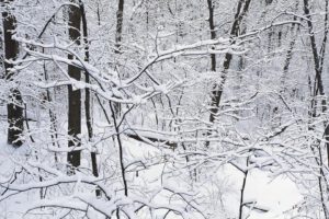 winter, Landscapes, Snow
