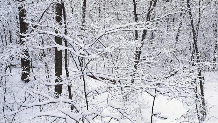 winter, Landscapes, Snow HD Wallpaper Desktop Background