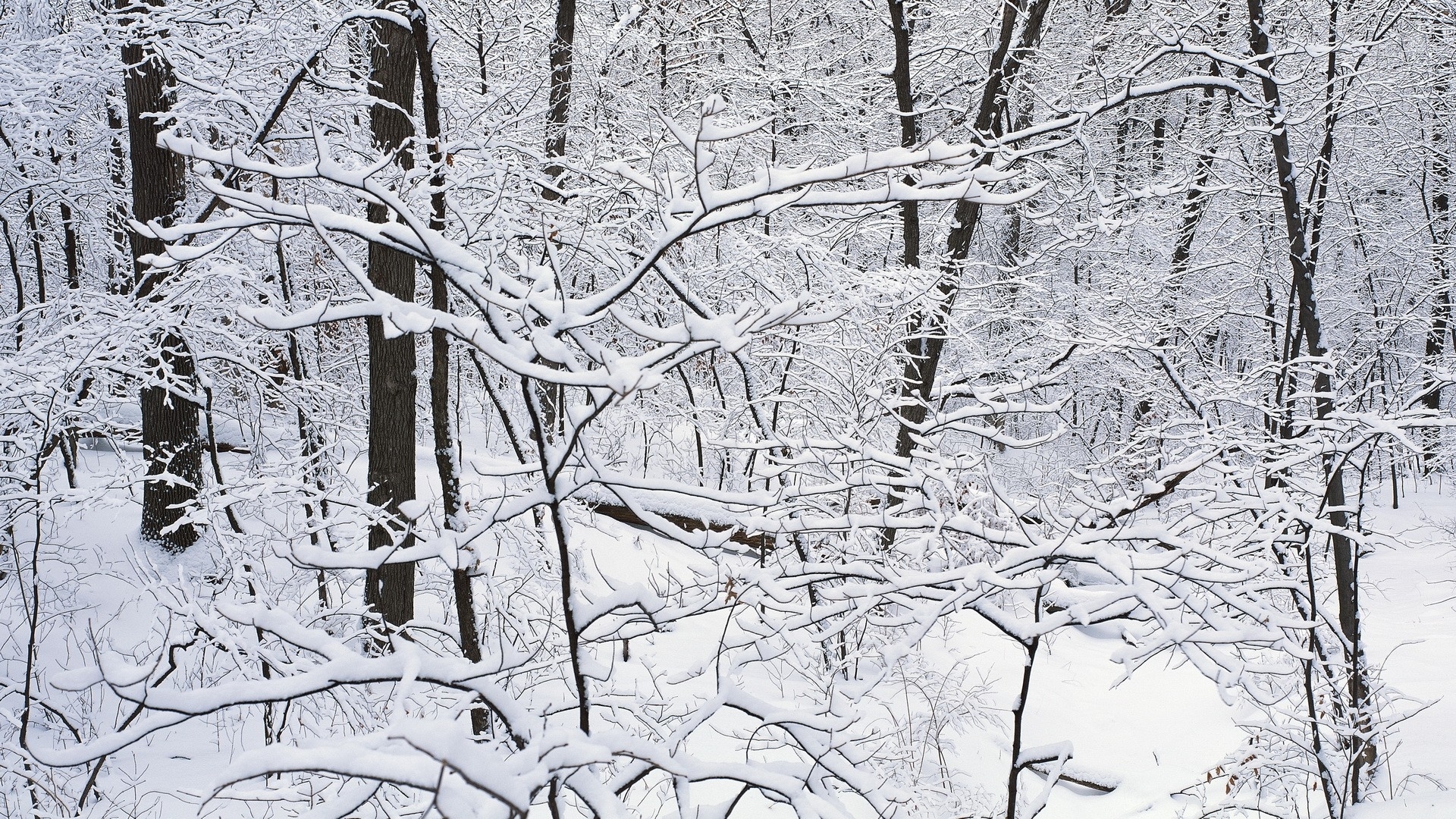 winter, Landscapes, Snow Wallpaper
