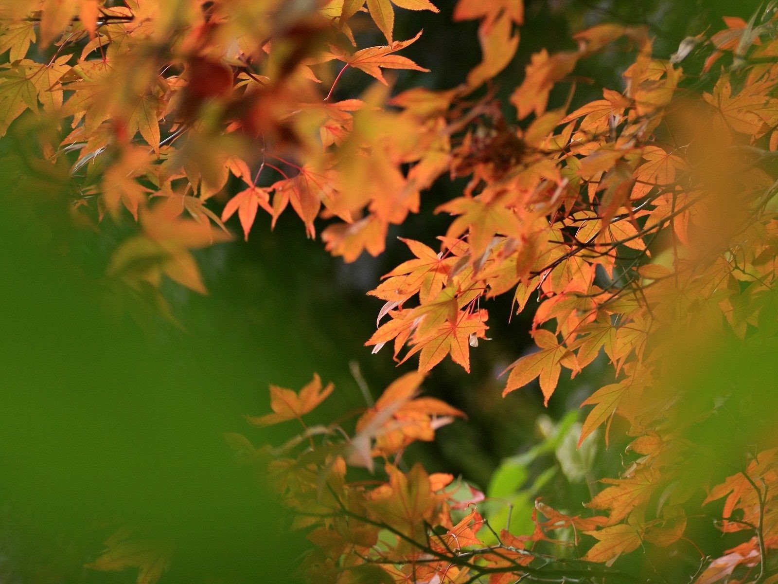 japan, Japan, Views Wallpaper