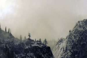 landscapes, Snow, Trees, California, Panorama, Snow, Landscapes, Yosemite, National, Park