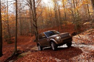 landscapes, Nature, Autumn, Forests, Cars, Land, Rover, Vehicles, Suv, Offroad, Land, Rover, Range, Rover, Vogue