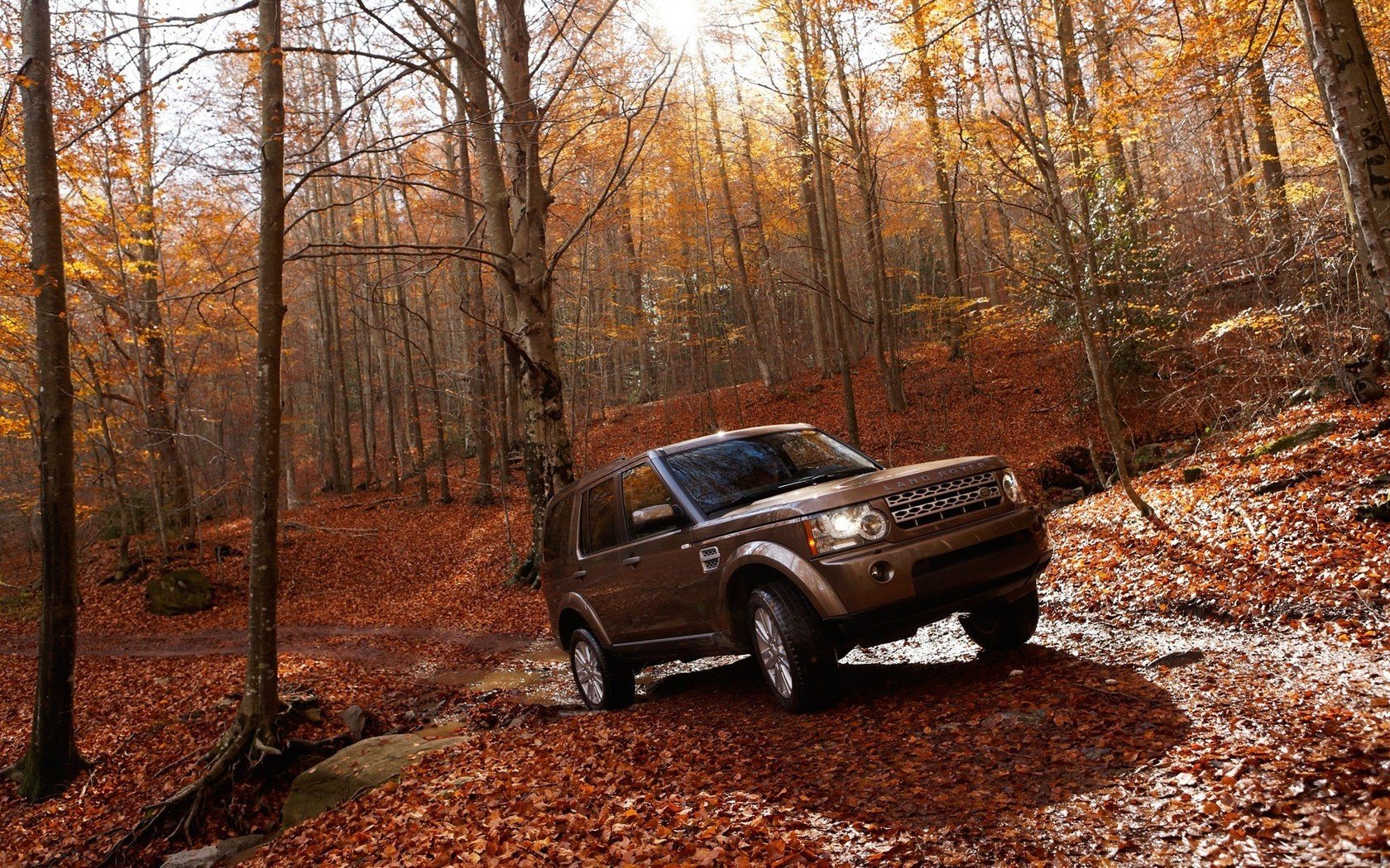 landscapes, Nature, Autumn, Forests, Cars, Land, Rover, Vehicles, Suv, Offroad, Land, Rover, Range, Rover, Vogue Wallpaper