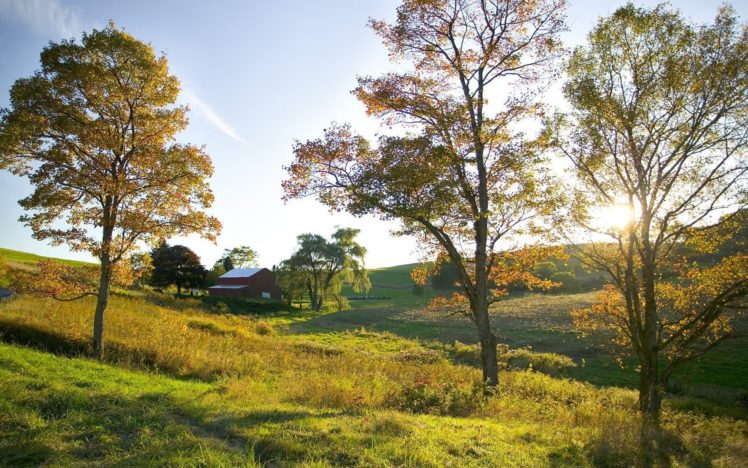 landscapes, Golden, Ohio, Farm HD Wallpaper Desktop Background