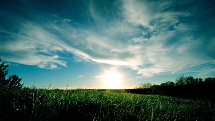 landscapes, Nature, Grass, Sunlight HD Wallpaper Desktop Background