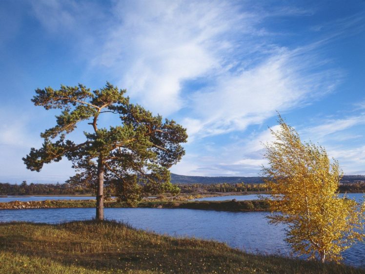 nature, Autumn, Siberia HD Wallpaper Desktop Background