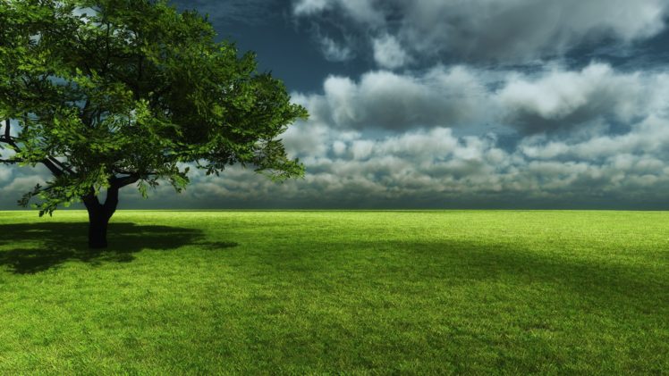 nature, Trees, Fields HD Wallpaper Desktop Background