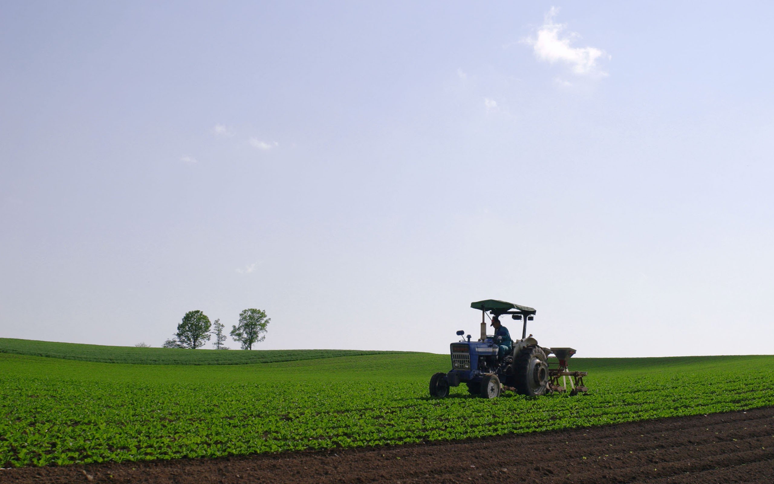 landscapes Wallpaper