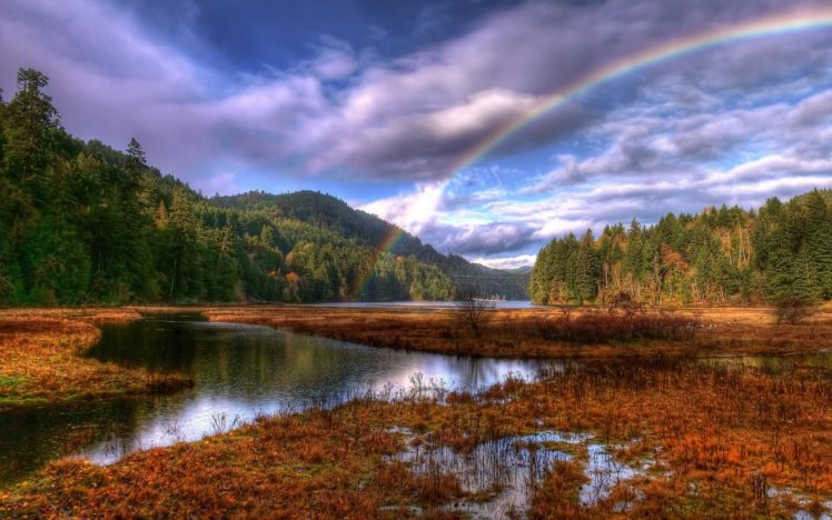 landscapes, Sky, Rainbow, Trees HD Wallpaper Desktop Background