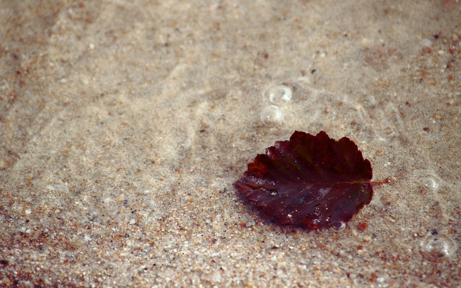 leaves Wallpaper