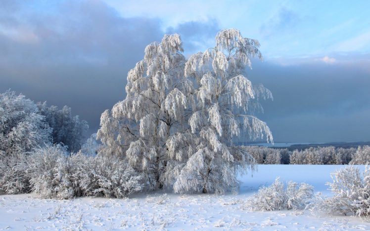 winter, Snow, Sky HD Wallpaper Desktop Background