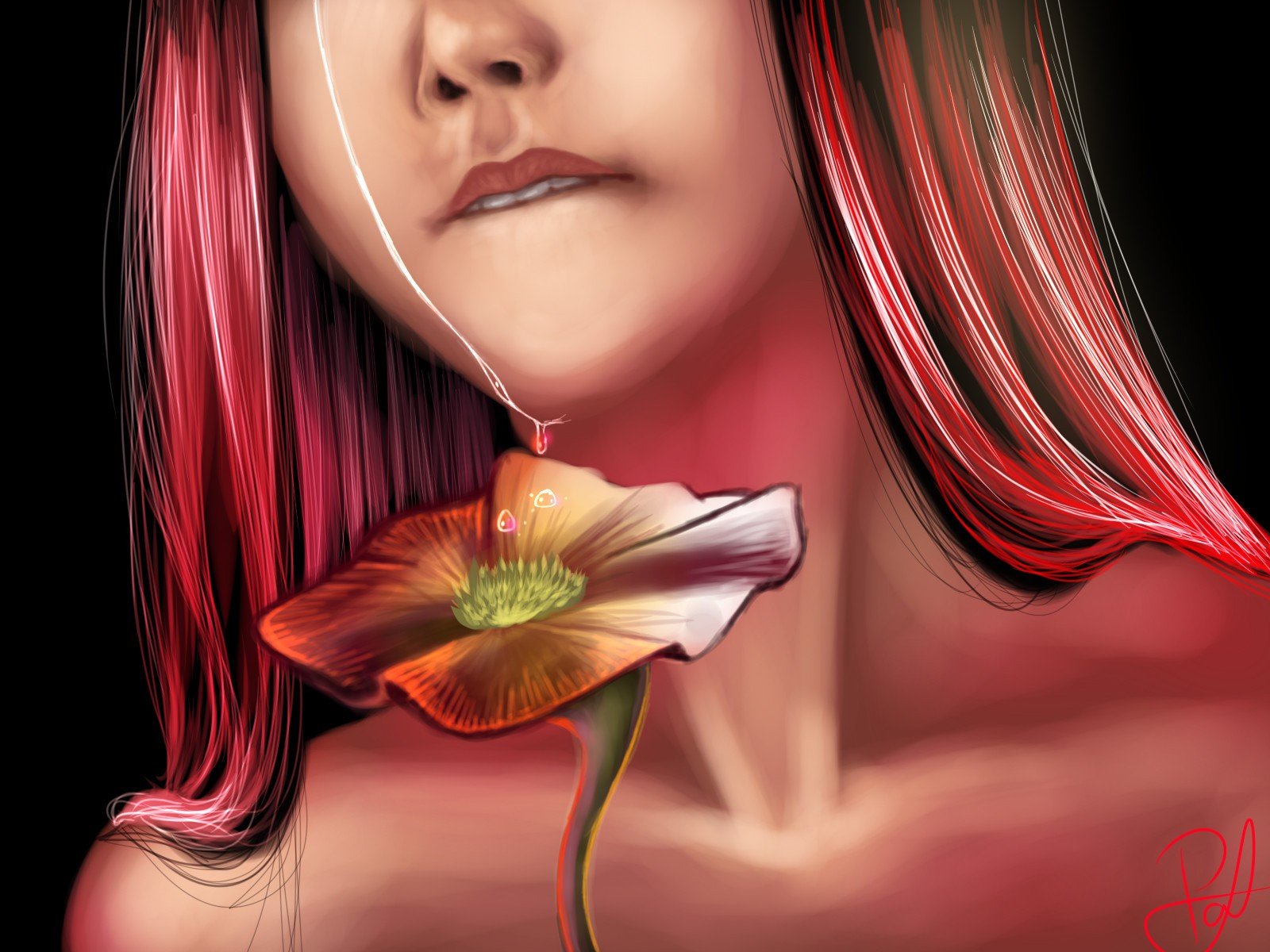 paintings, Flowers, Drawings, Still, Life Wallpaper