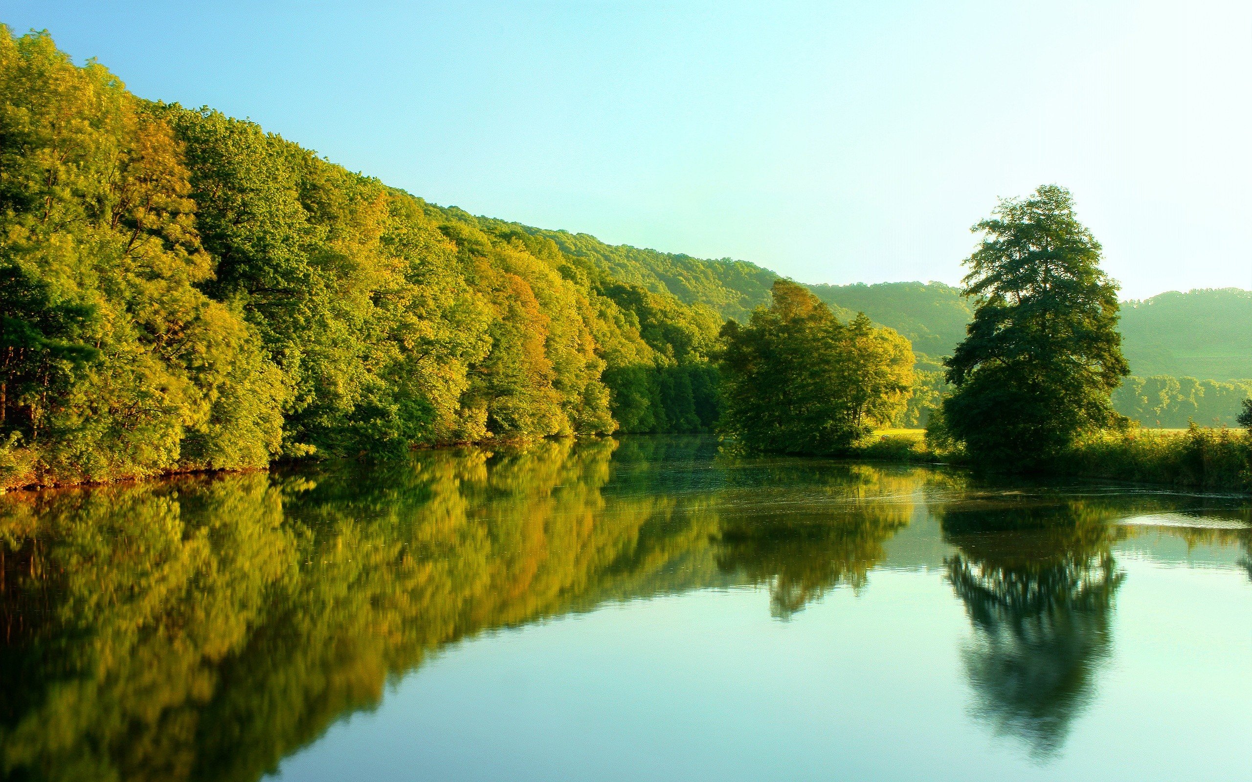 nature Wallpaper