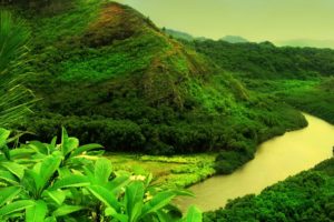 jungle, Forests, Valleys, Hdr, Photography, Rivers