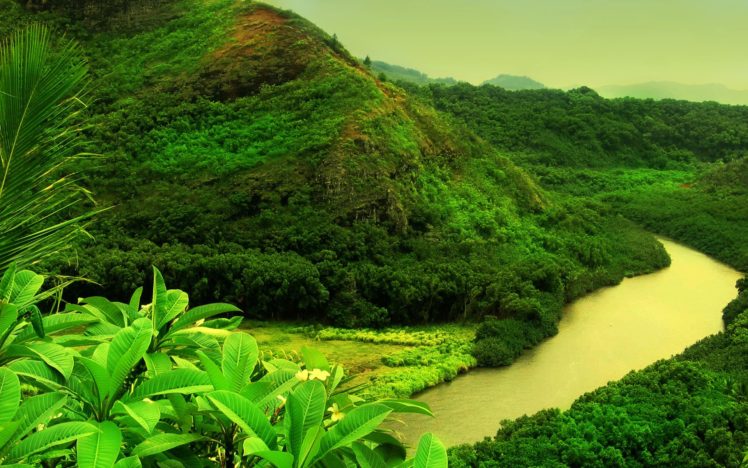 jungle, Forests, Valleys, Hdr, Photography, Rivers HD Wallpaper Desktop Background