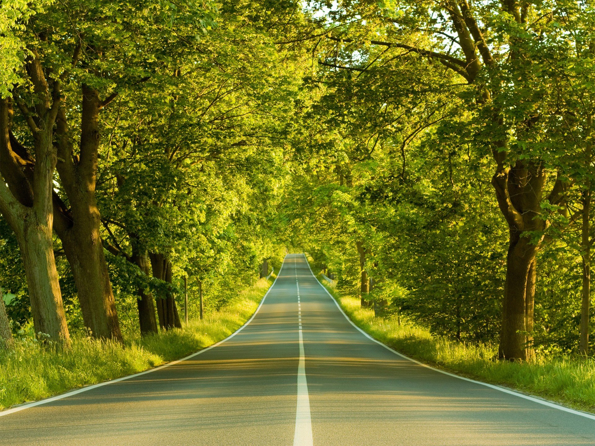 nature Wallpaper