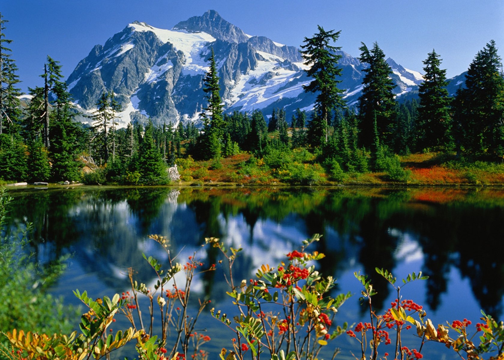 reflexobd4, 1680x1200 Wallpaper